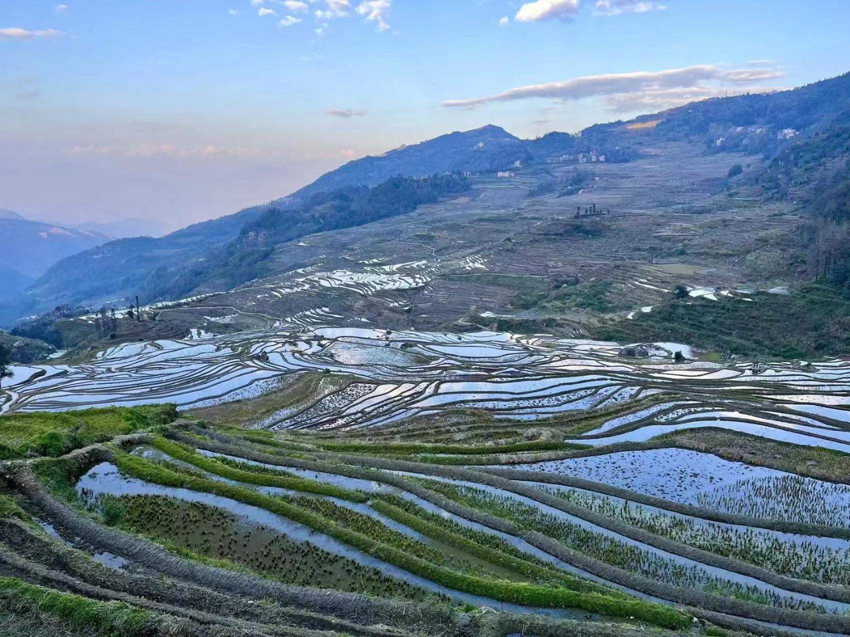 Yuanyang Flower And Horse Inn Ngoại thất bức ảnh